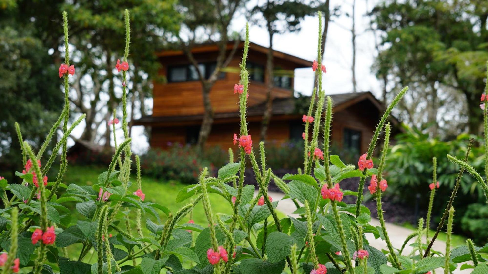 Lucero Golf And Country Club Tree Houses Boquete Extérieur photo